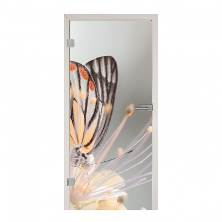 Glastüren Digitaldruck Glastür 1102-1 "Butterfly"