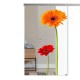 SlimLine45 Glasschiebetür 1009-3-F (Gerbera rot) SlimLine45