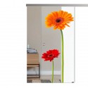 SlimLine45 Glasschiebetür 1009-3-F (Gerbera rot)