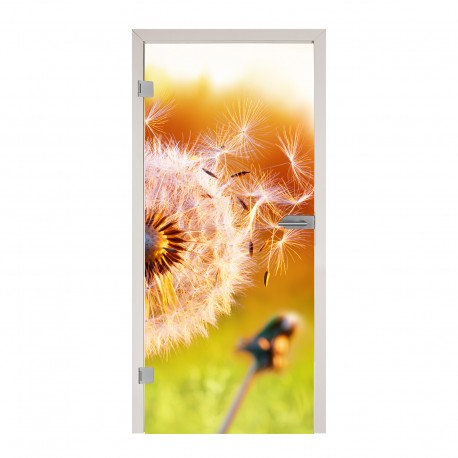 Glastüren Digitaldruck Glastür 1106-1 "Pusteblume"